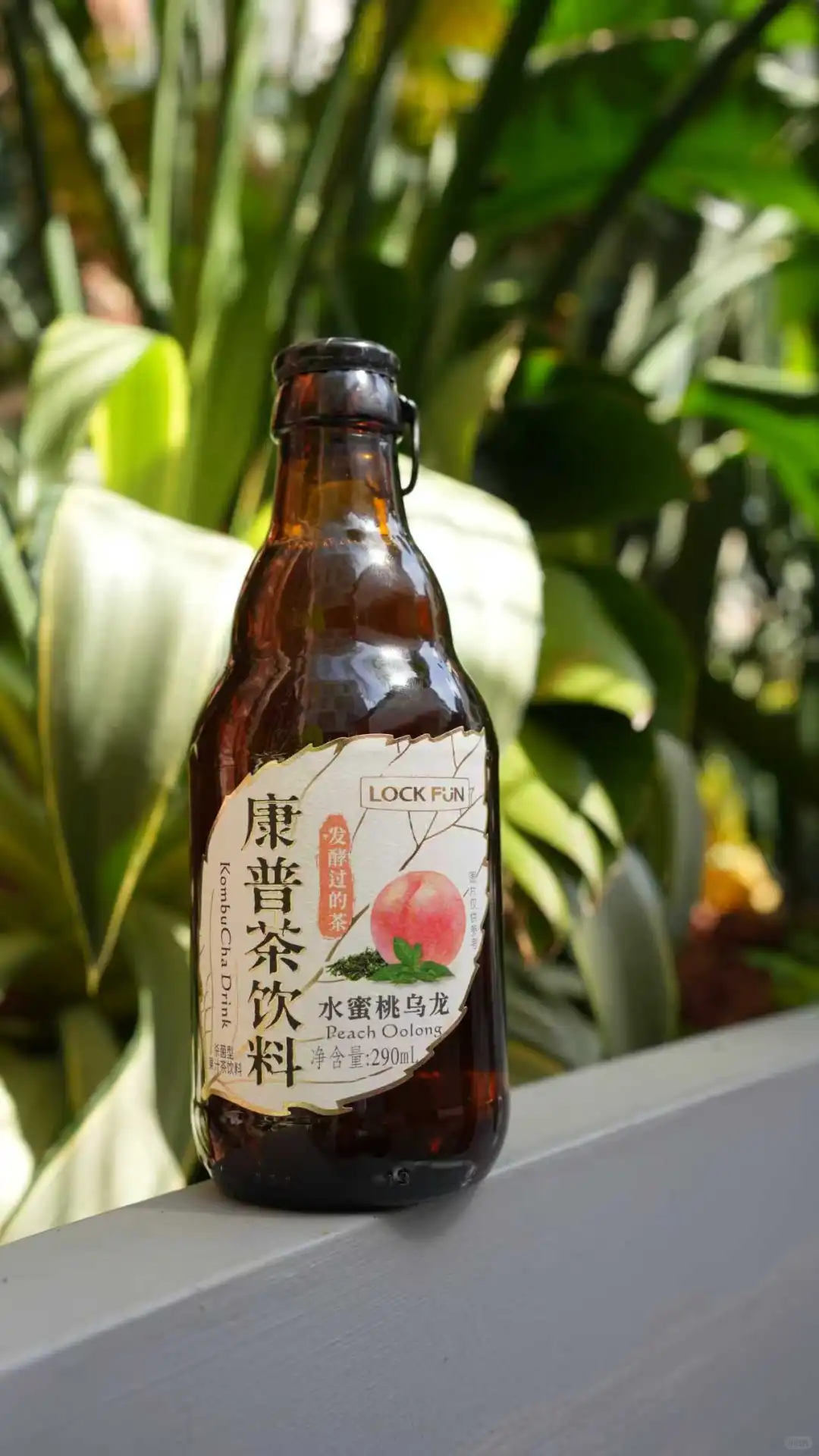 熬夜党自救！这瓶康普茶比喝白水舒服100 倍