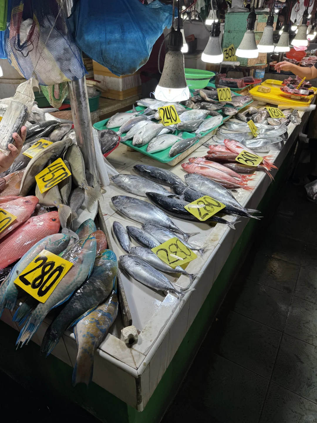 菲律宾薄荷岛最大海鲜市场,实现海鲜自由