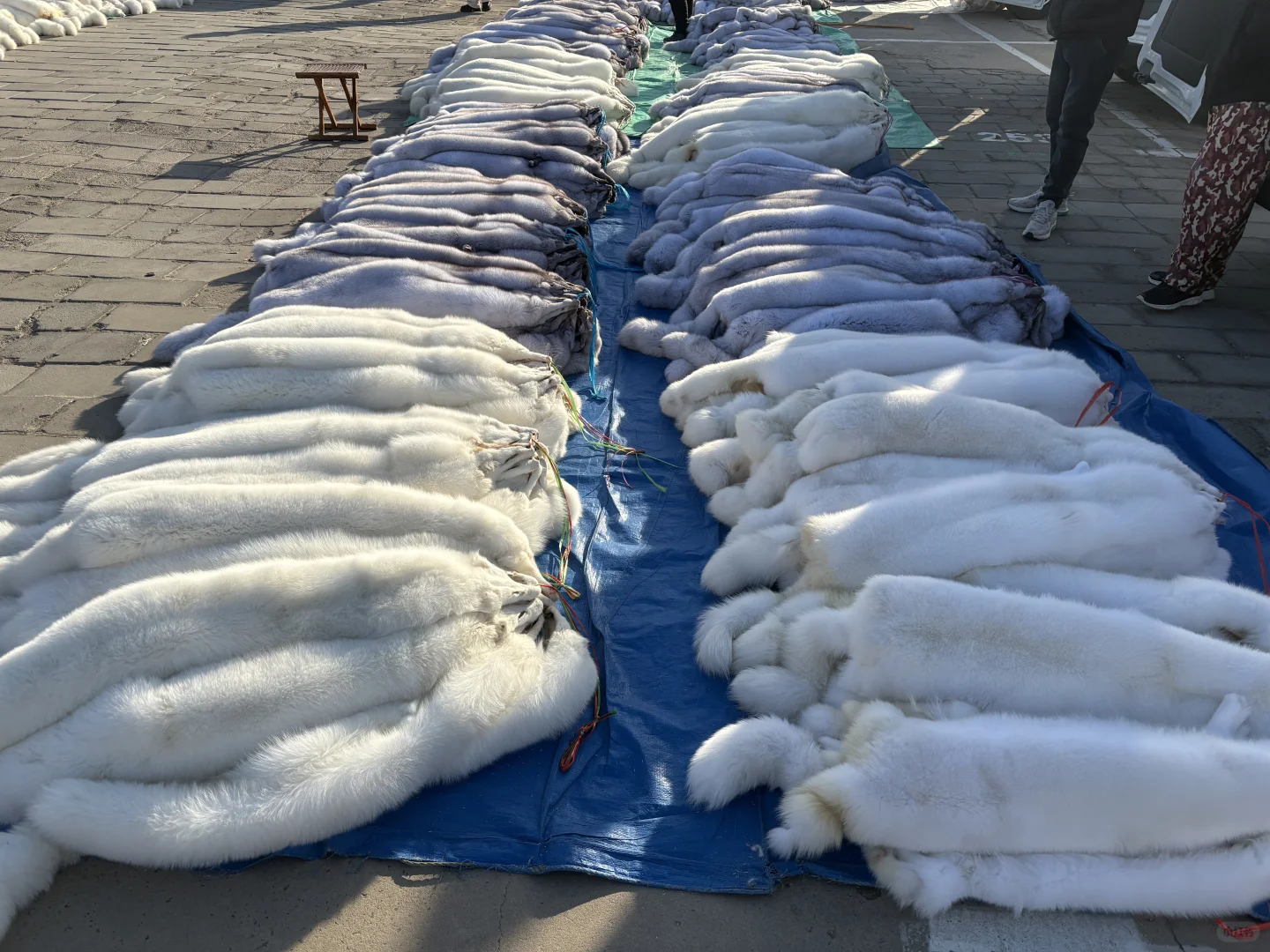 看一下皮草源头基地，全部皮草产品。