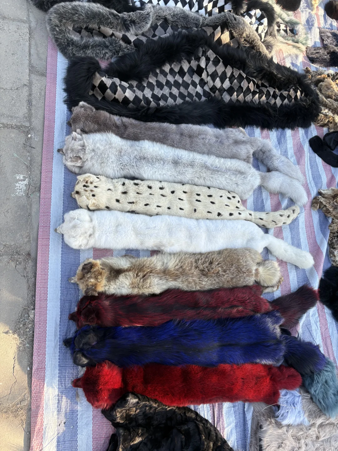 看一下皮草源头基地，全部皮草产品。