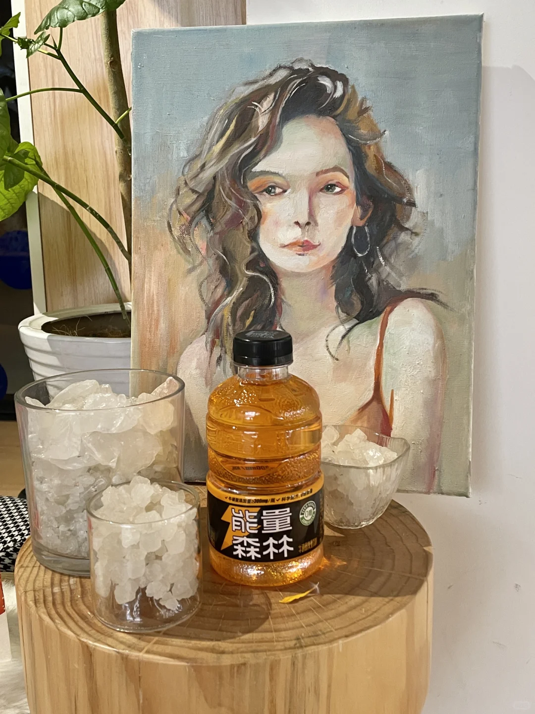 能量森林｜完美地平衡你的健康与生活