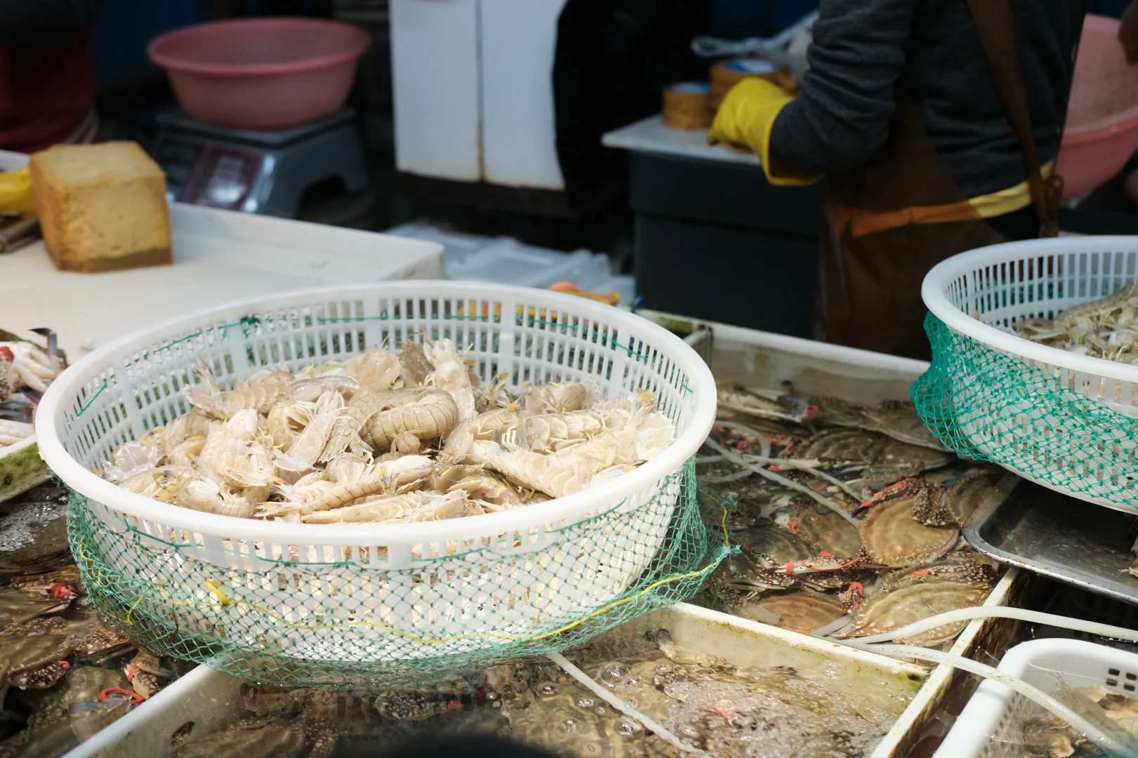 桃源市场·大连记录?