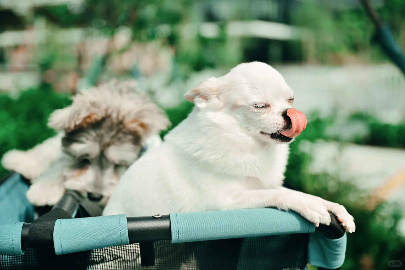 ATMOSE Cargo Hub开业爆了!现场图直出,速来