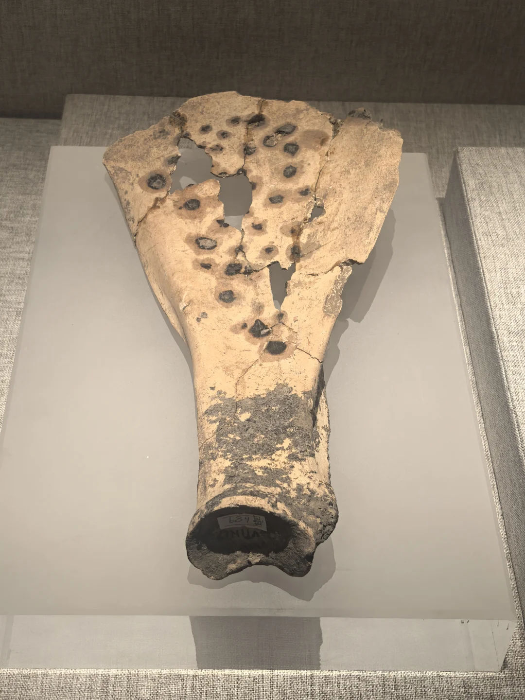 这是历史，也是文化，更是中华民族的传承和