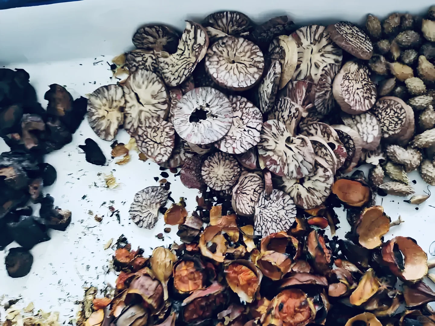 医道不绝，薪火相传