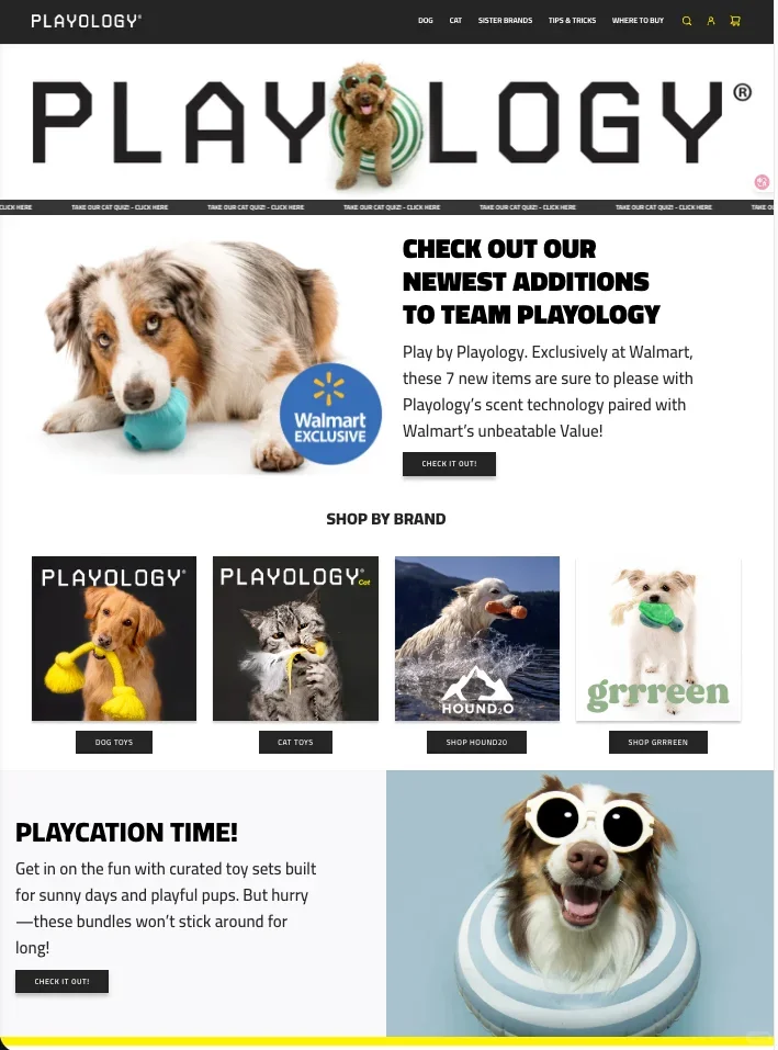 ??宠物用品做海外，年营收1000万美金！