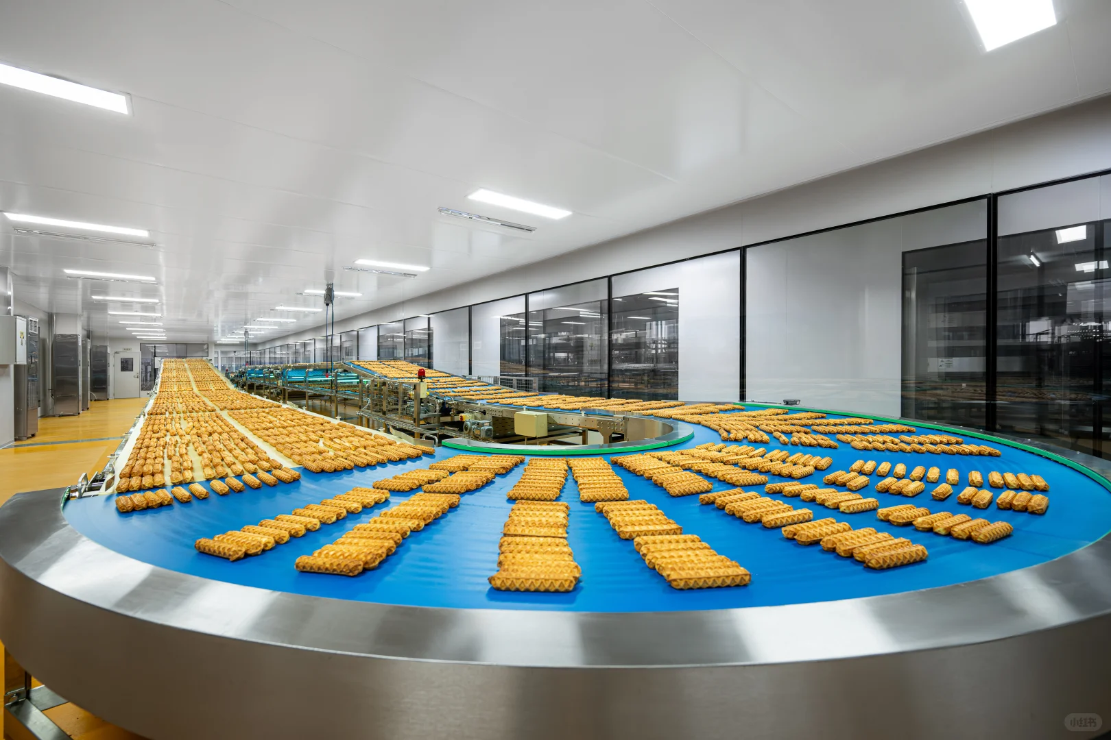 不愧花了4⃣个亿建造的现代工厂?