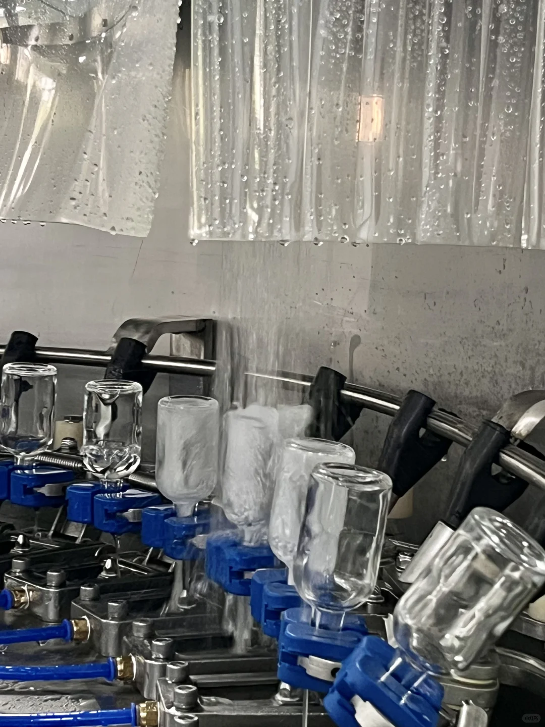 ?00后酒厂打工日记｜沉浸式体验小酒灌装