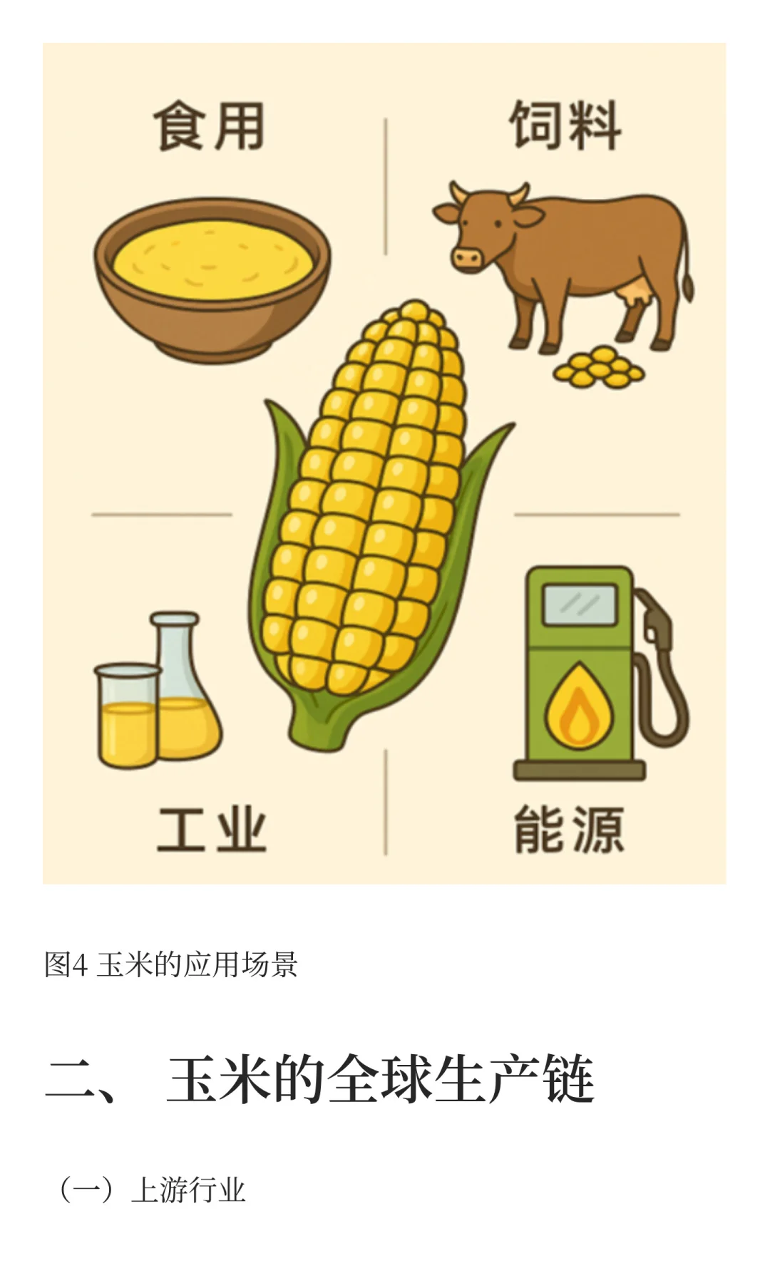 玉米的生产与贸易