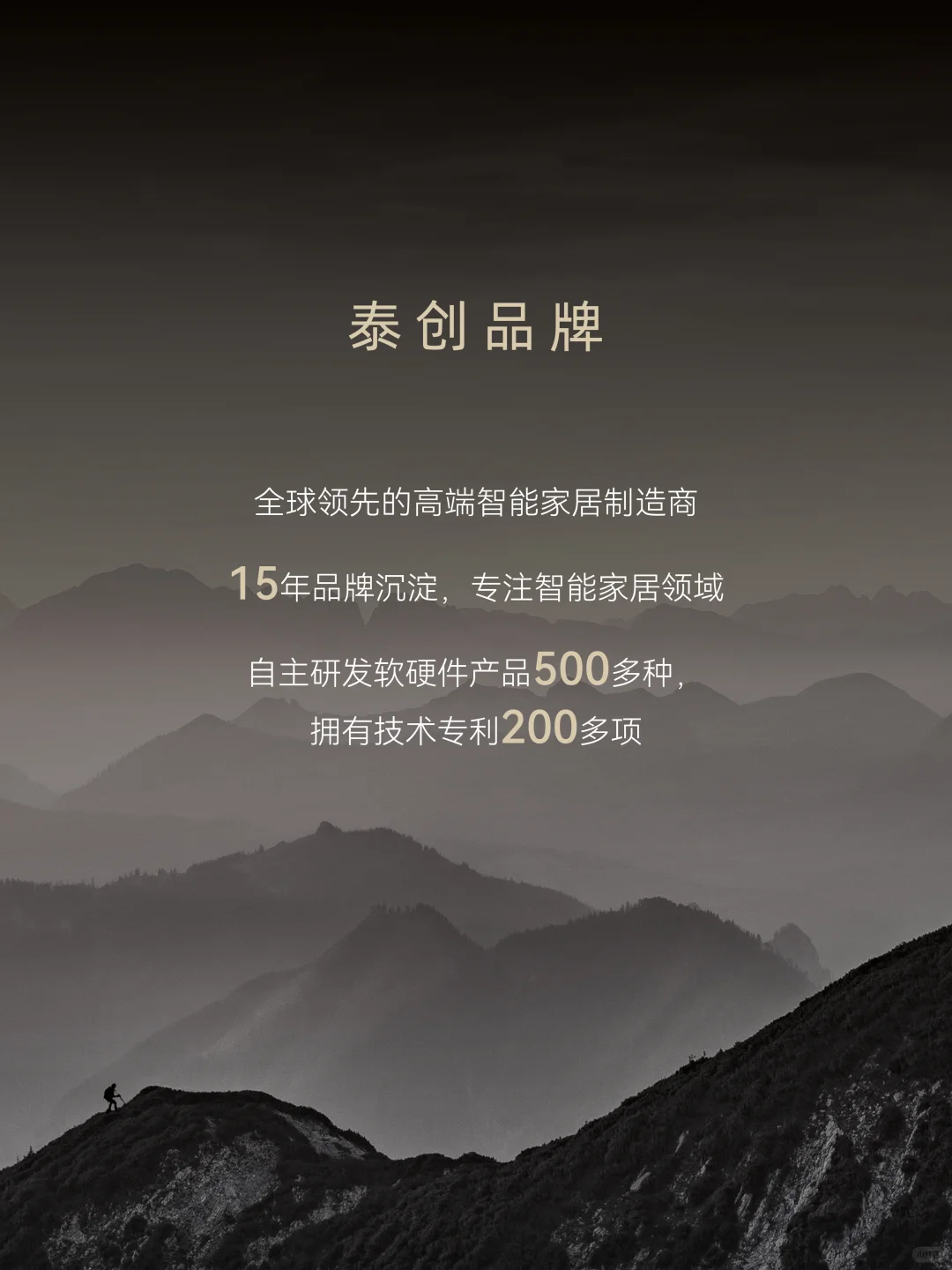 泰创,更懂中国高品质生活