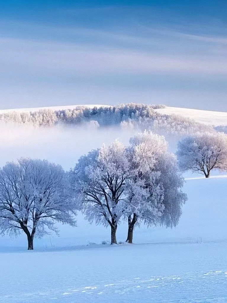 ?核心竞争力✨? 核心竞争力，简单来说，