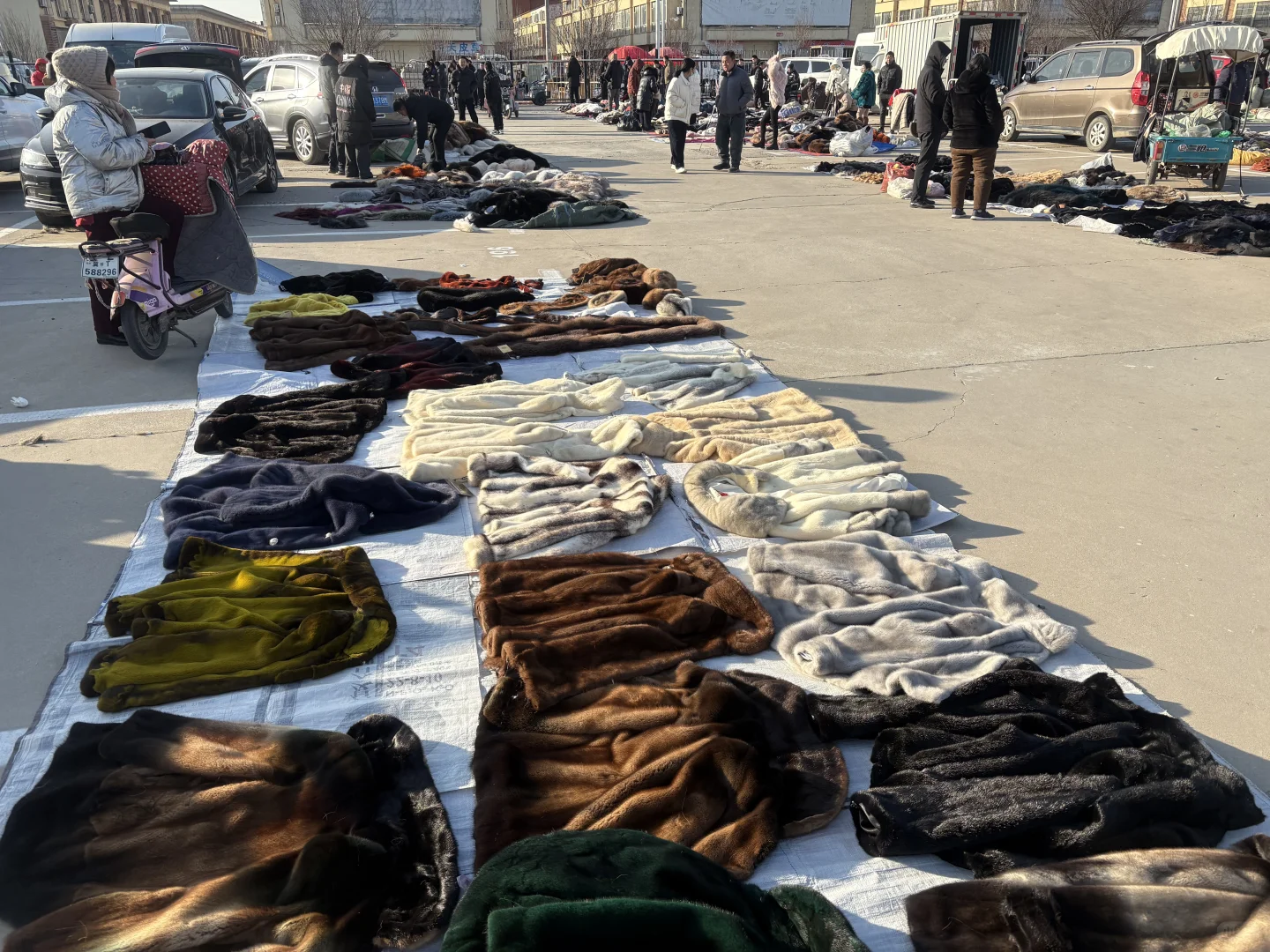 看一下皮草源头基地，全部皮草产品。