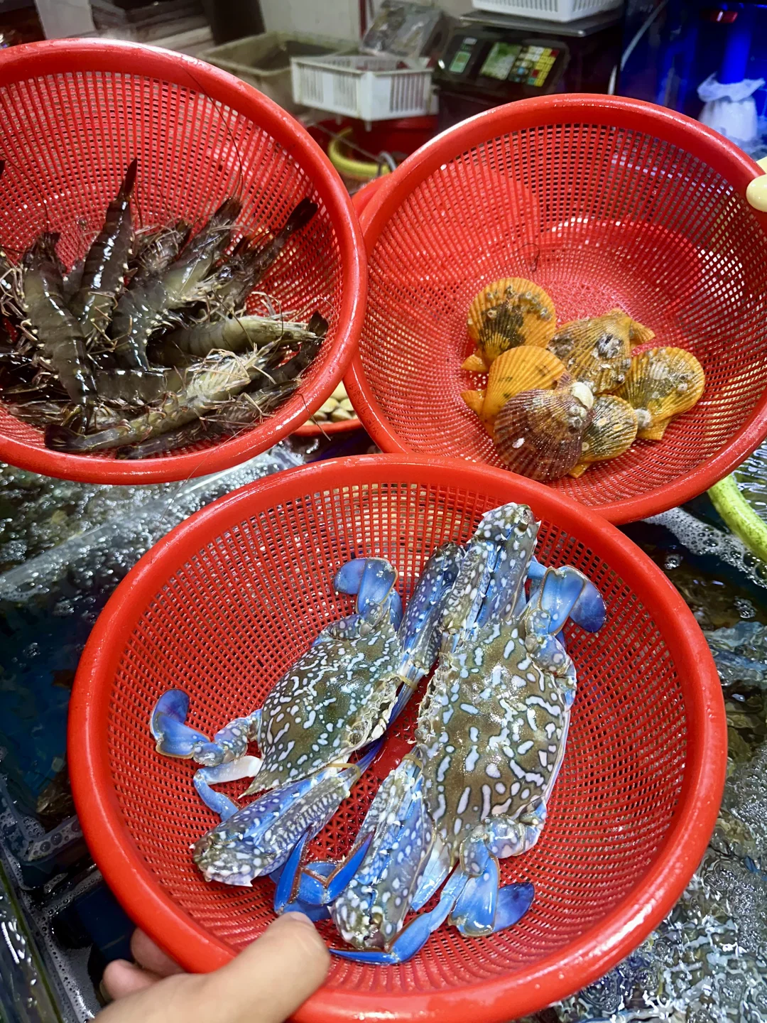 来三亚吃海鲜一定要去当地市场买了加工?