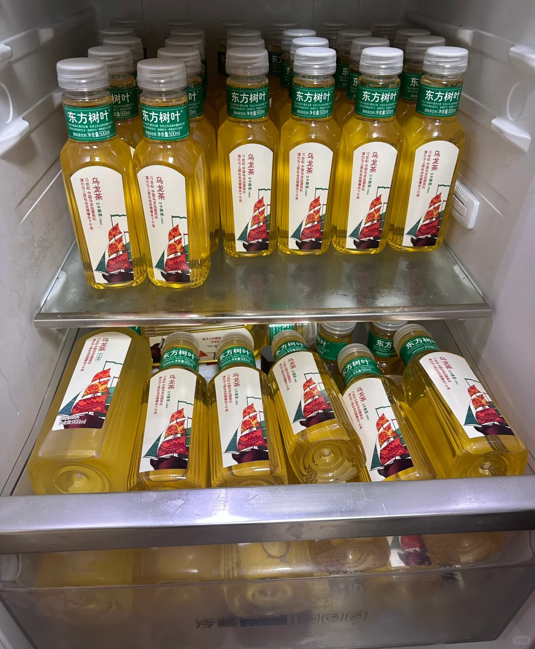 囤东方树叶乌龙茶