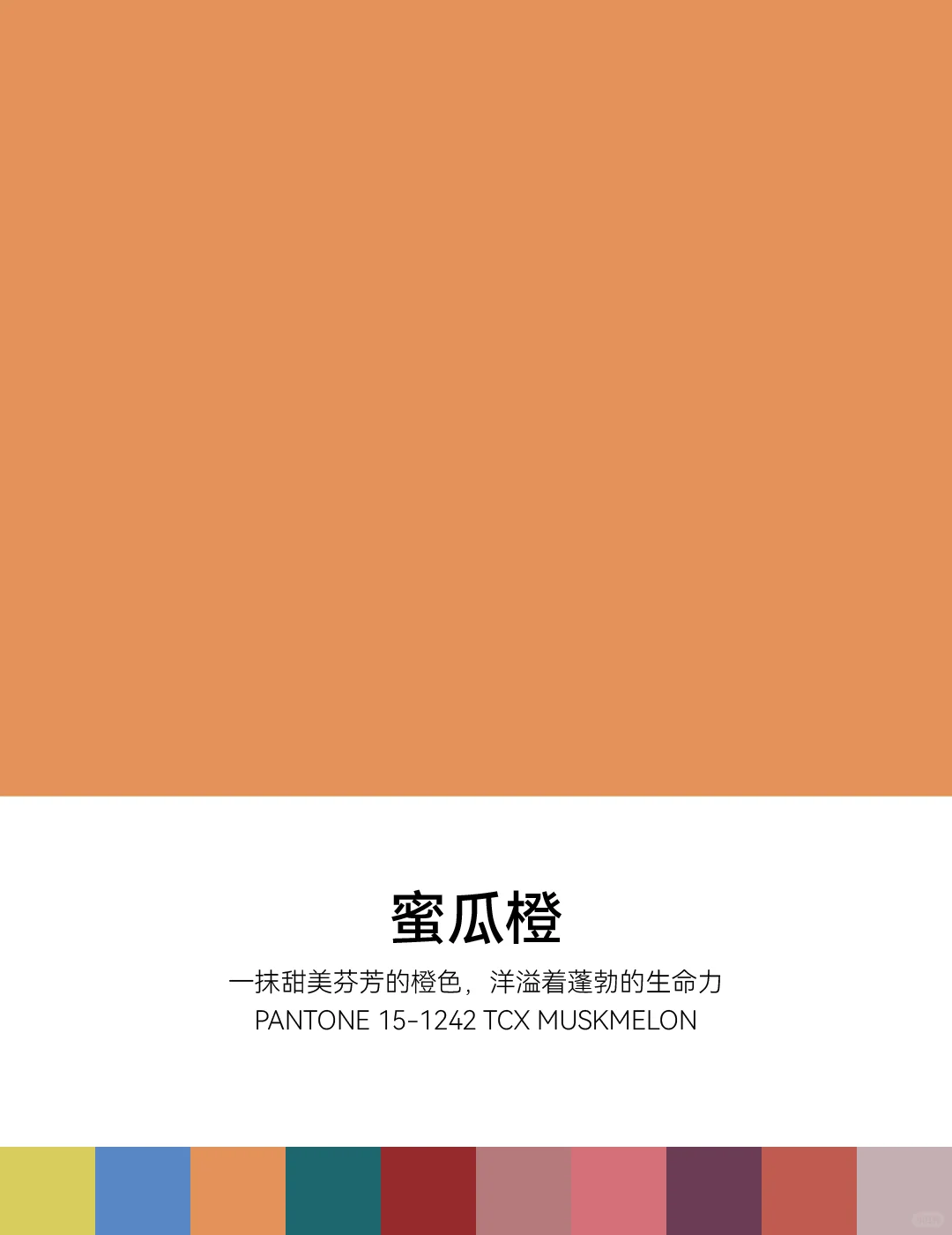 2026春夏纽约时装周PANTONE明装流行色