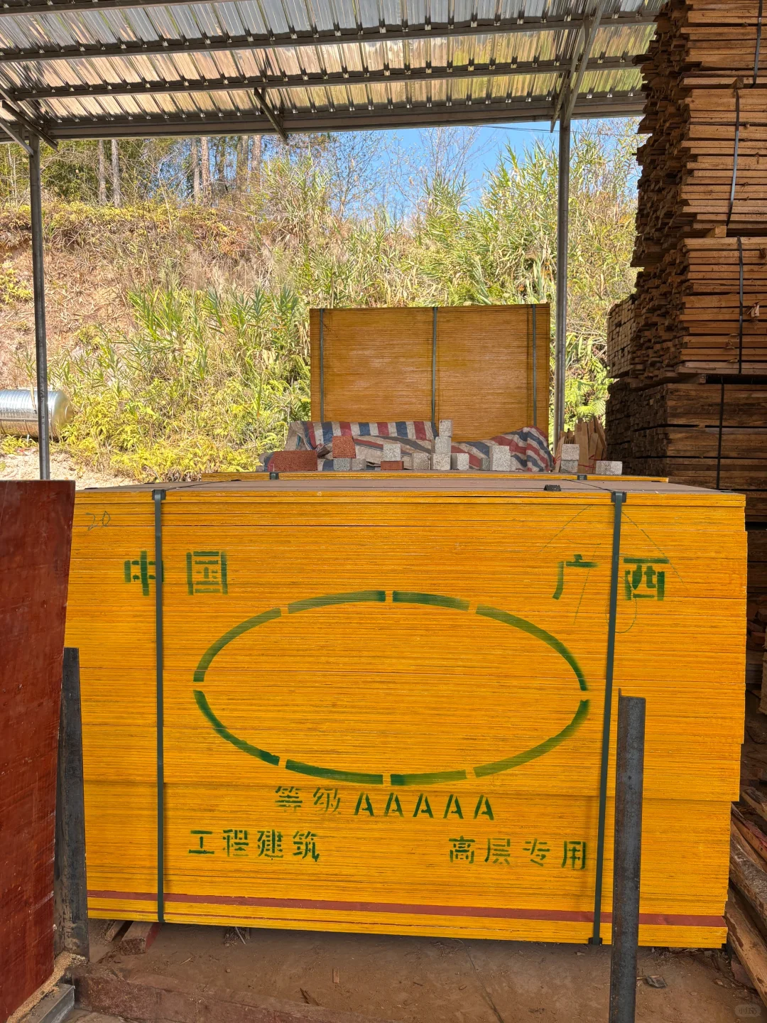 我爸非叫我挂网上 谁要啊