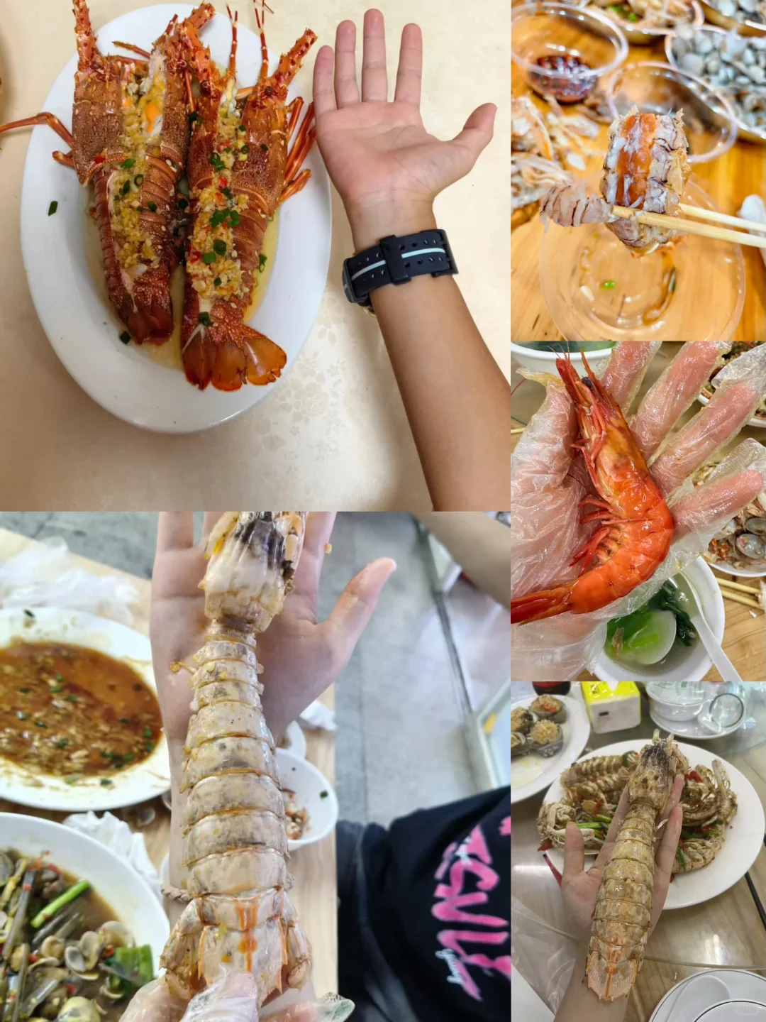 10月来北海旅游，吃海鲜就来市场买海鲜加工