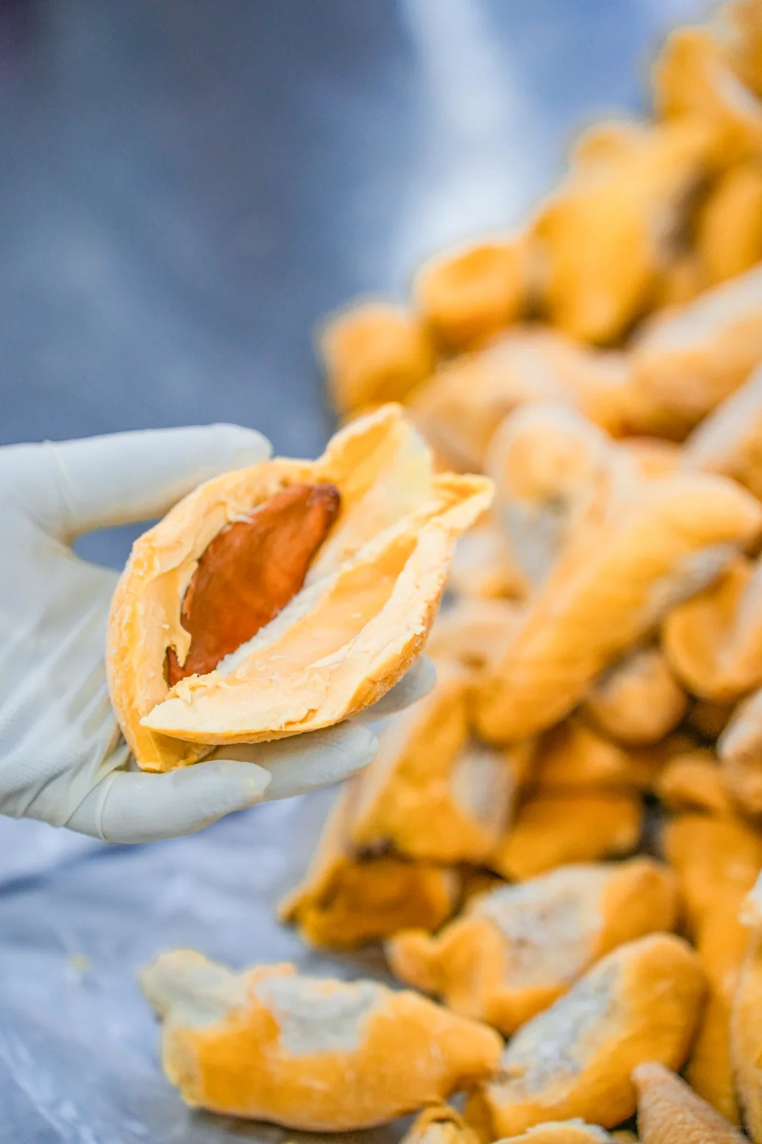 海南老牌甜品工厂实地考察篇?