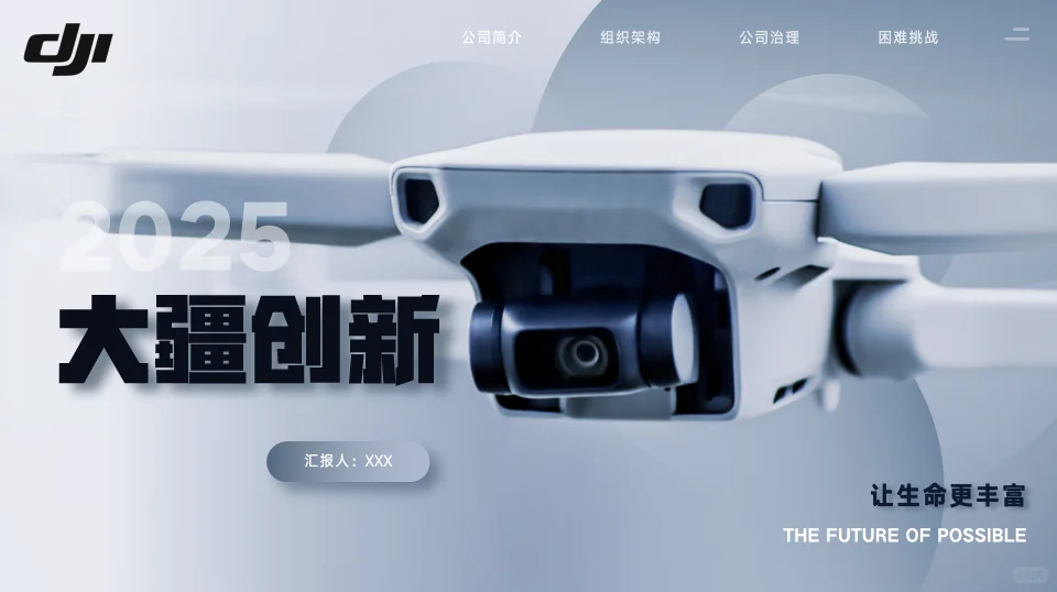 大疆创新企业分析17页