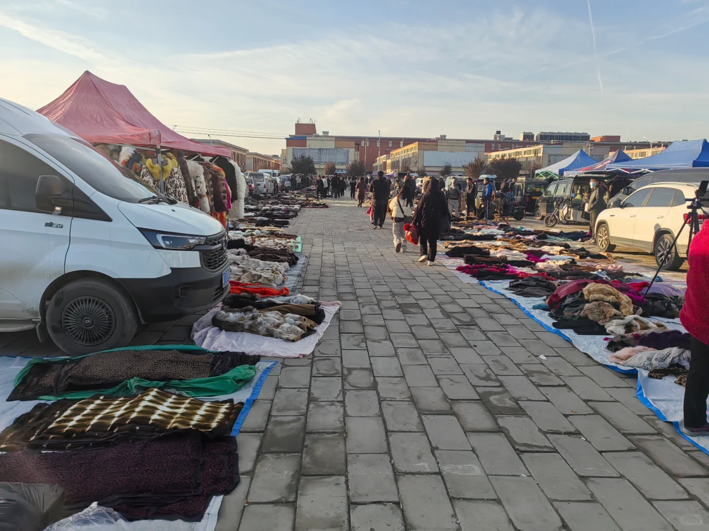 这才是真正的皮草源头。