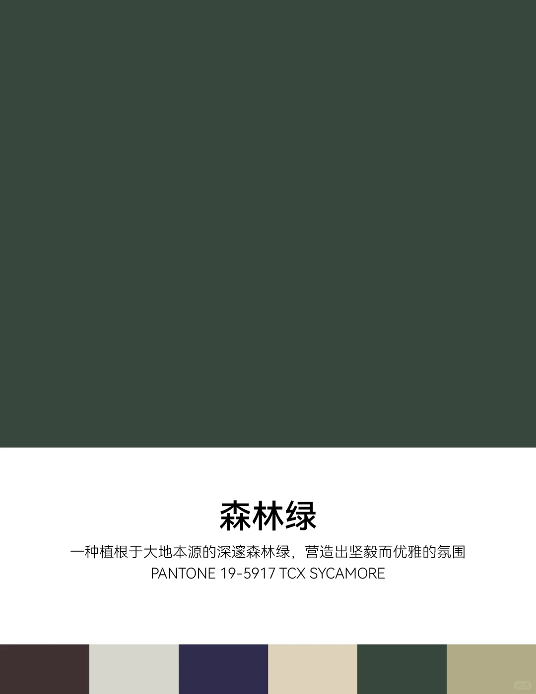 2026春夏纽约时装周PANTONE明装流行色