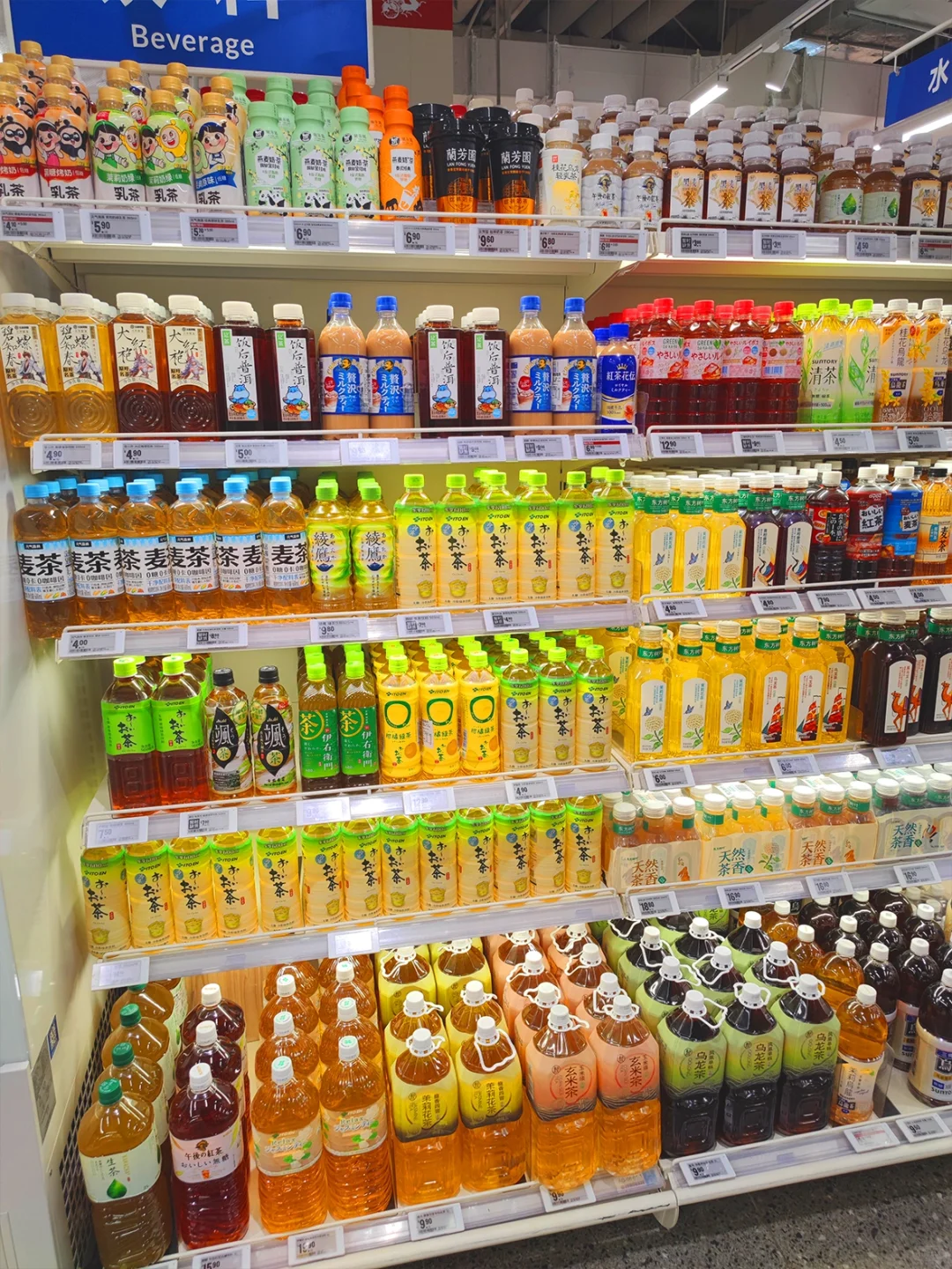 今天也是茶系养生人！