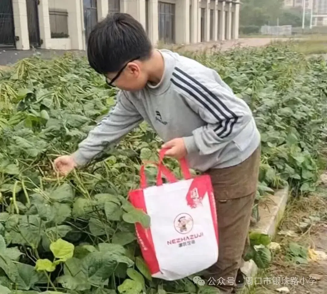 【劳动绘双节,文化传承伴成长】