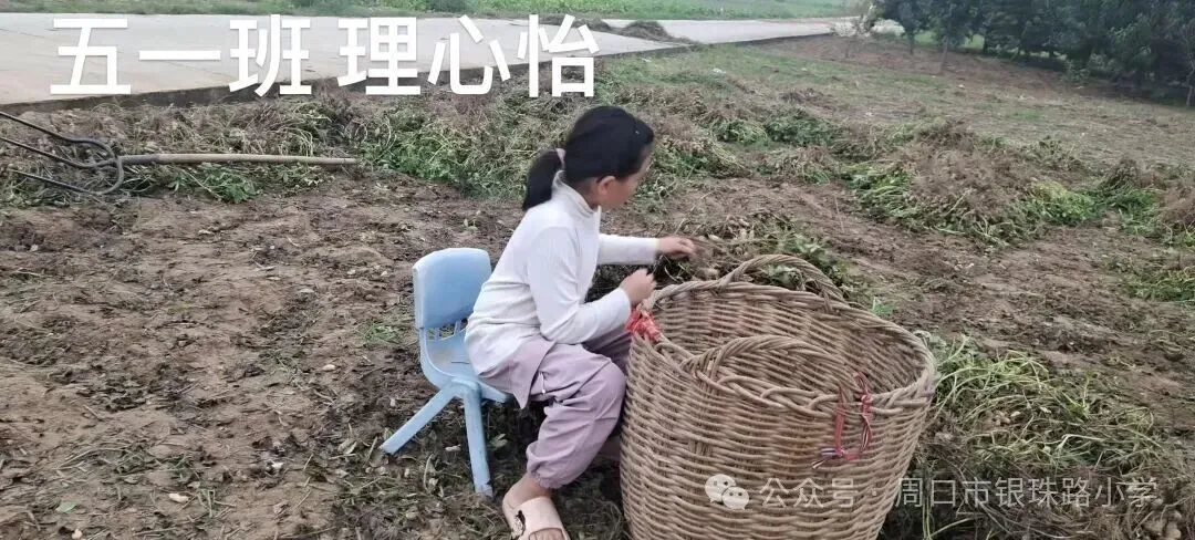 【劳动绘双节,文化传承伴成长】