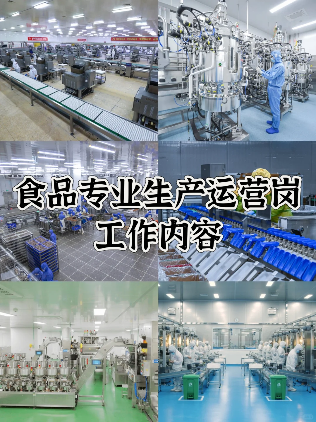 食品专业生产运营岗工作内容