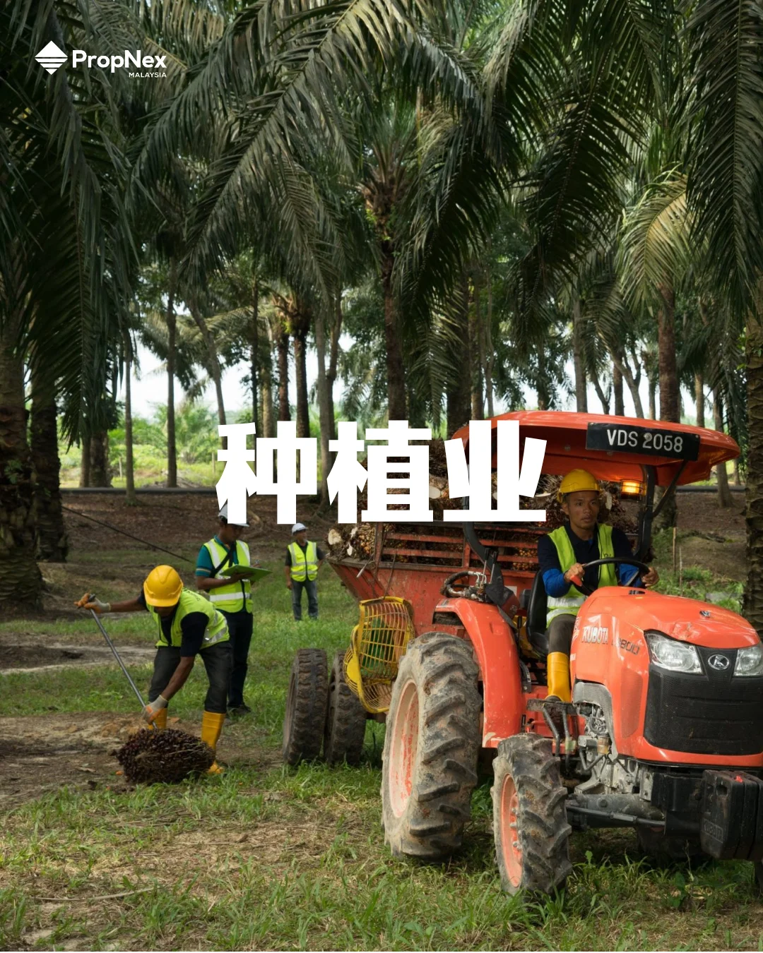 马美贸易协定????3行业先笑了