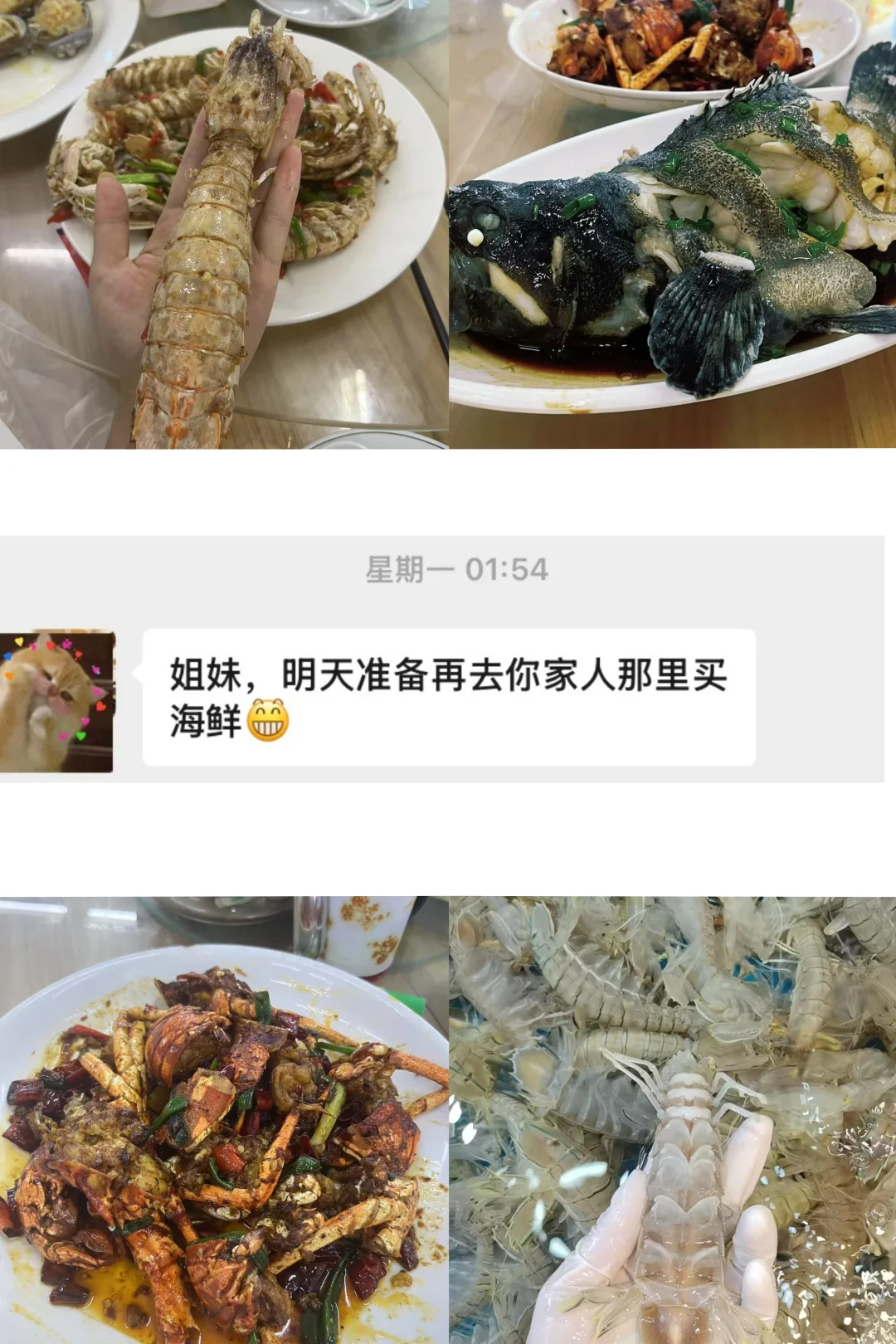 落地北海直奔这个市场!本地人私藏的宝藏摊