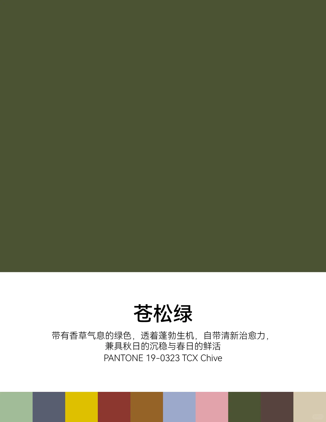 2025/2026秋冬中国国际时装周PANTONE流行色