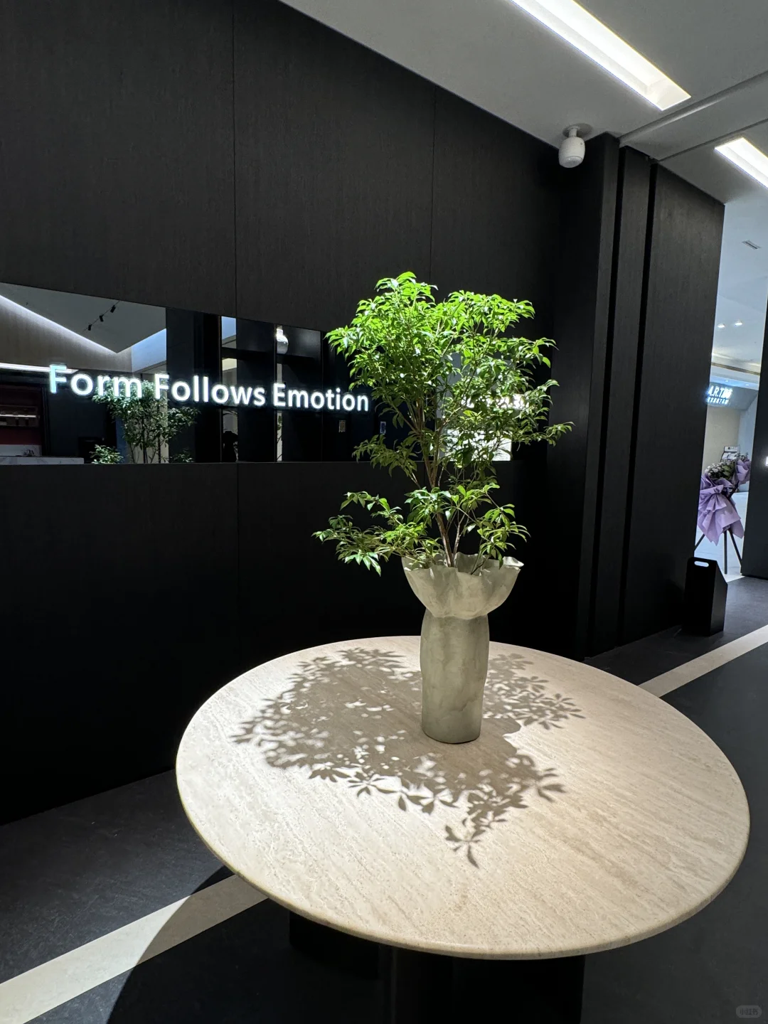 宁波的！宁波的！宁波的！