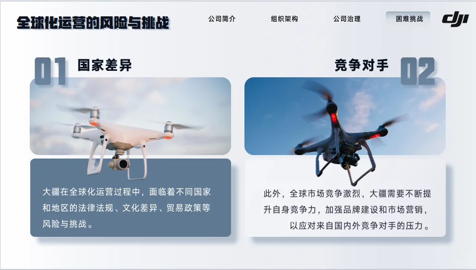 大疆创新企业分析17页