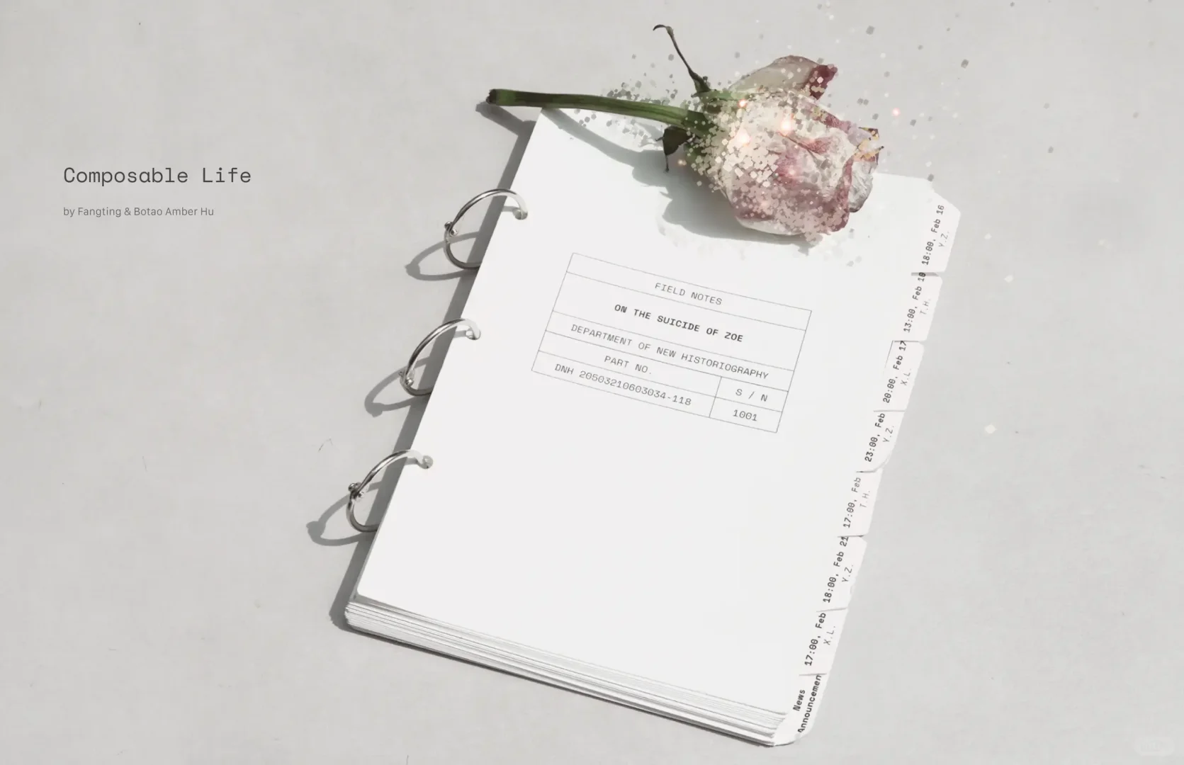 我在牛津研究去中心化AI，设计超越人类社会