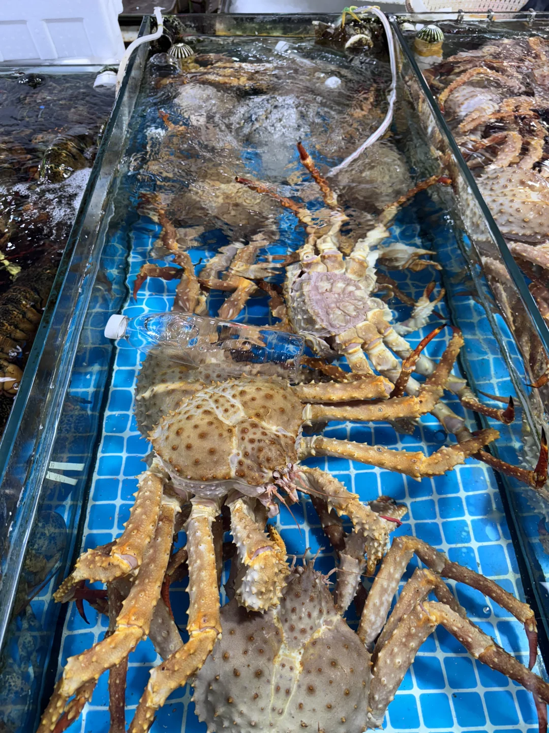 日照石臼海鲜市场｜本地人带路防坑指南