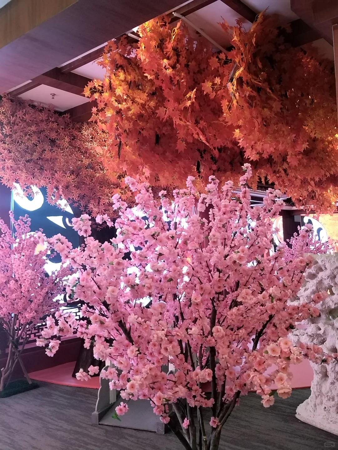 传统戏曲文化的宣扬和传承