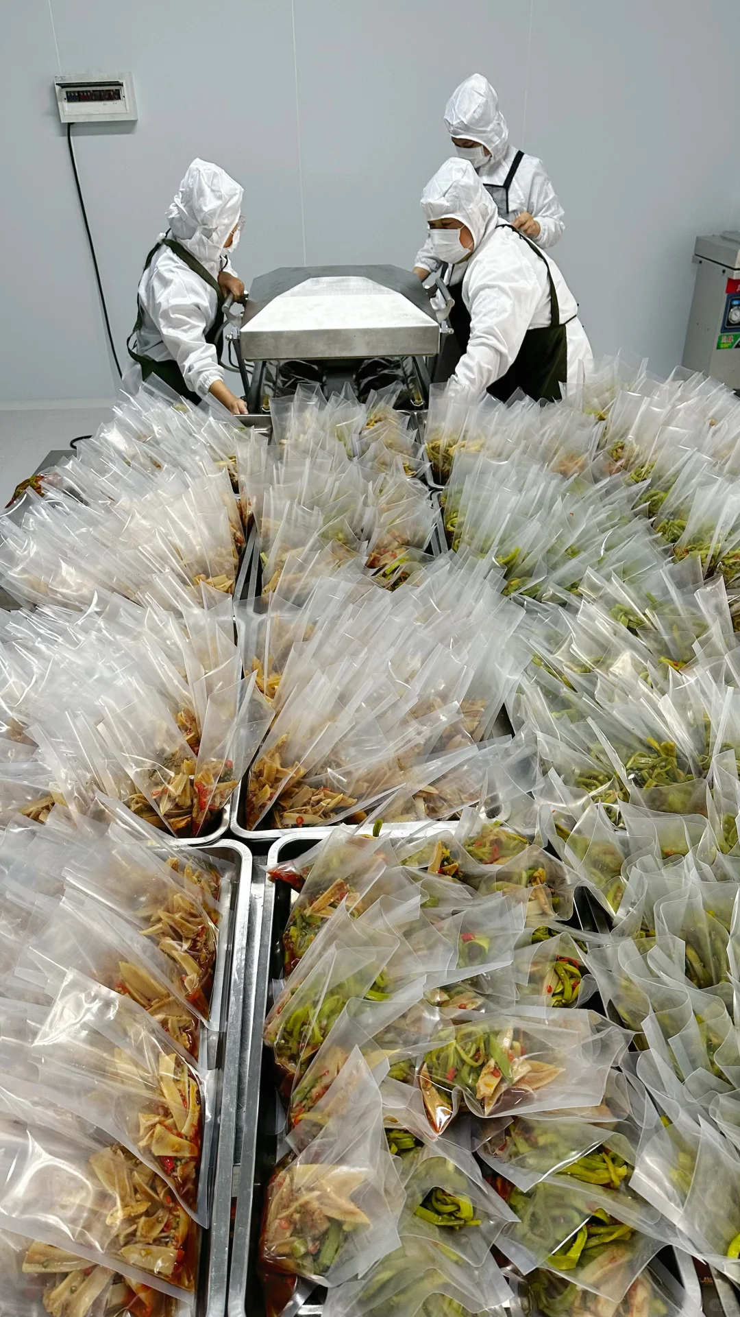 00后花100w开了一家食品工厂