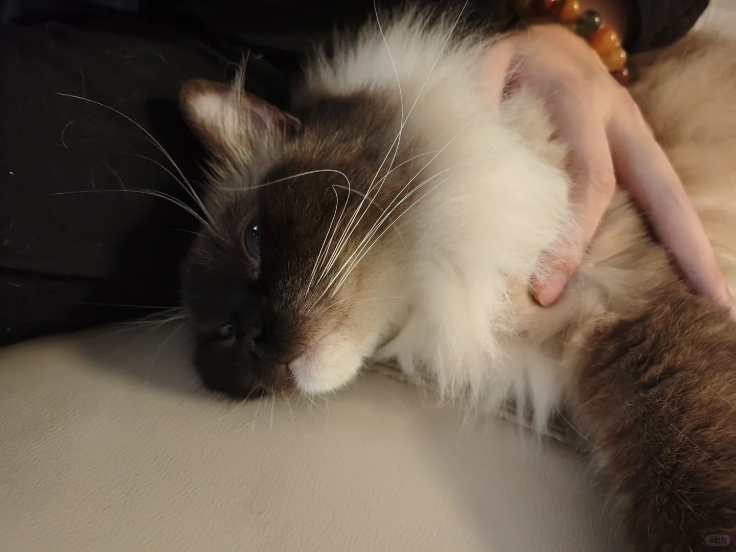 帮大佬找人工智能领域好项目