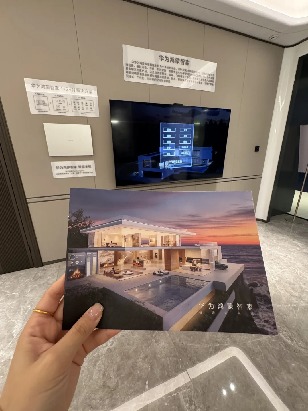 宁波的！宁波的！宁波的！