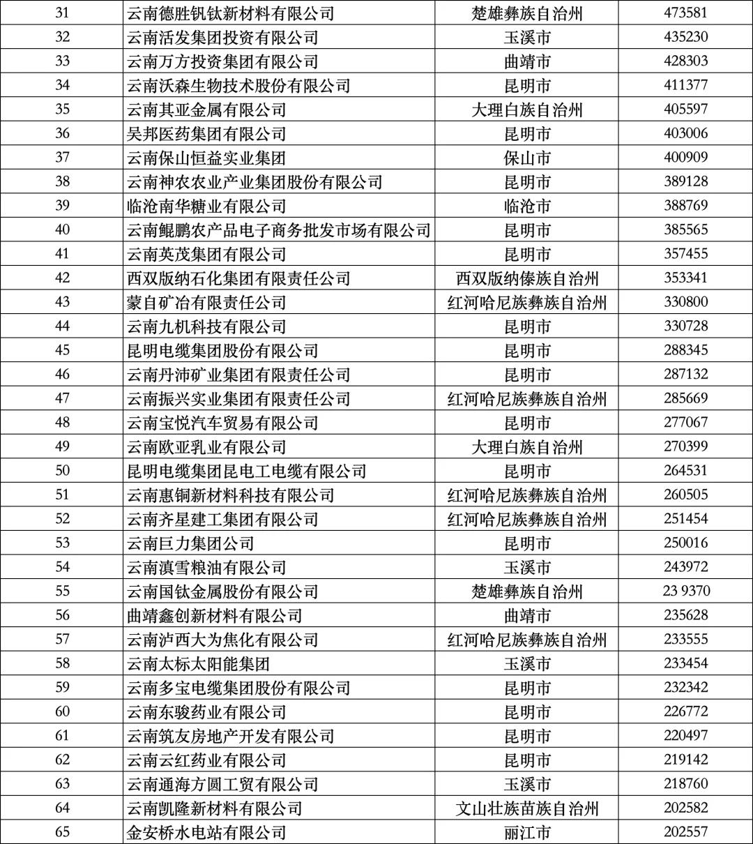 2024年云南省民营企业100强排行榜