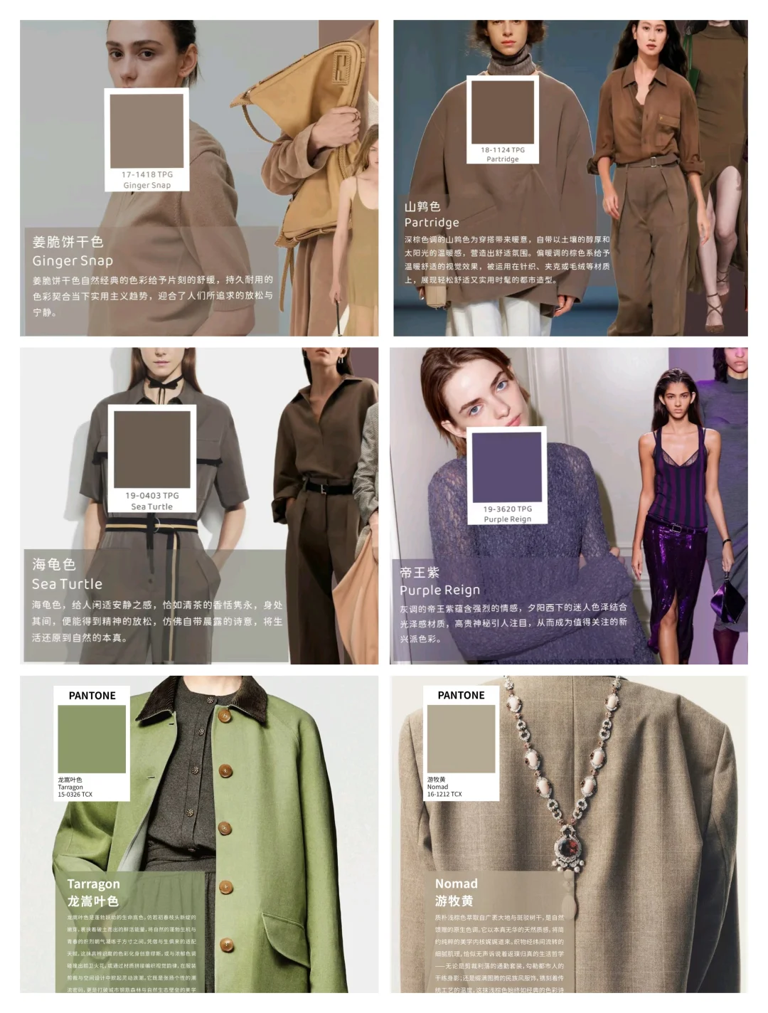 色彩趋势｜2025/2026 AW色彩流行趋势！