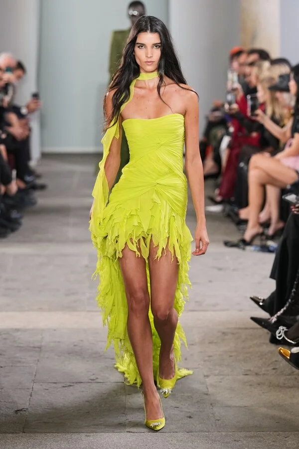 2026 年春季色彩趋势 金合欢