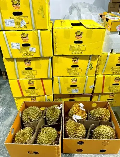 RCEP通关秘籍:做生意成本狂降!