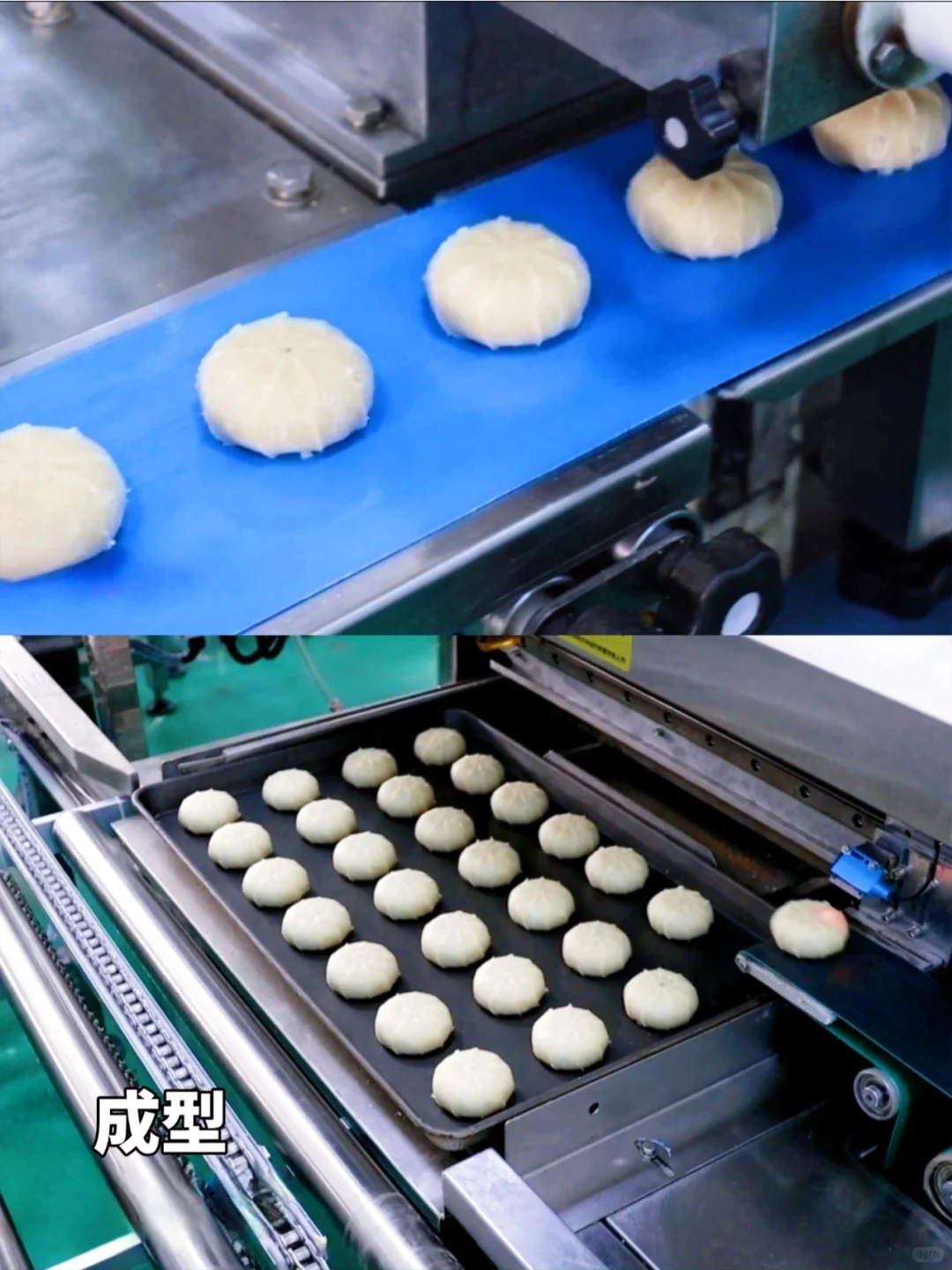 交底了，工厂生产线都给你们看了！