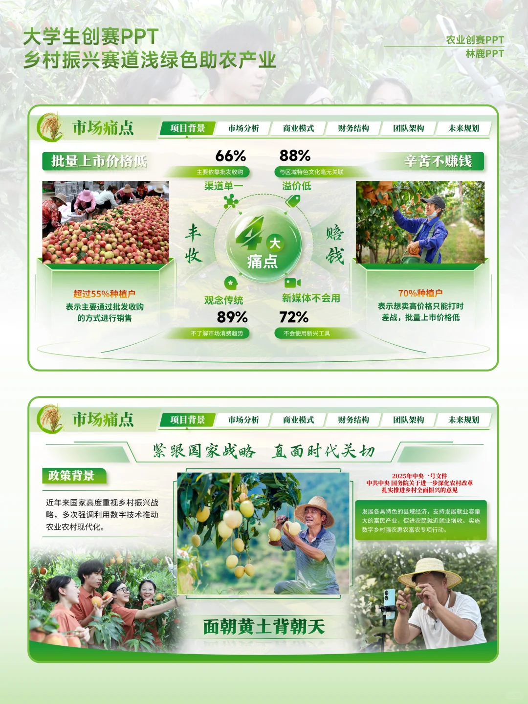 创赛乡村振兴赛道助农ppt浅绿色高级感设计