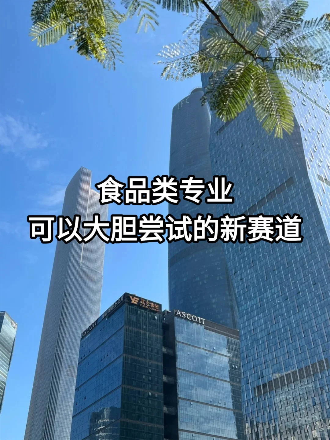 食品人可以大胆尝试的新赛道