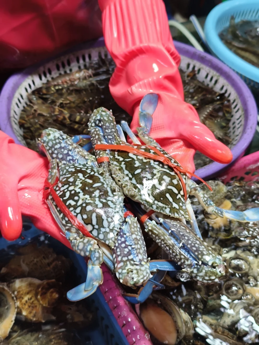 在三亚!跟着本地人这样吃海鲜便宜又新鲜!