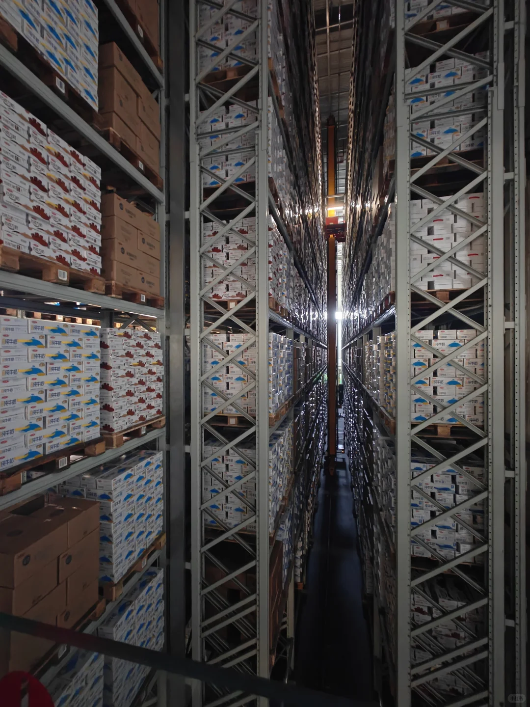 科普教育！原来我们喝的牛奶是这样来的！