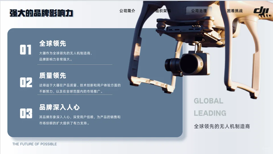 大疆创新企业分析17页